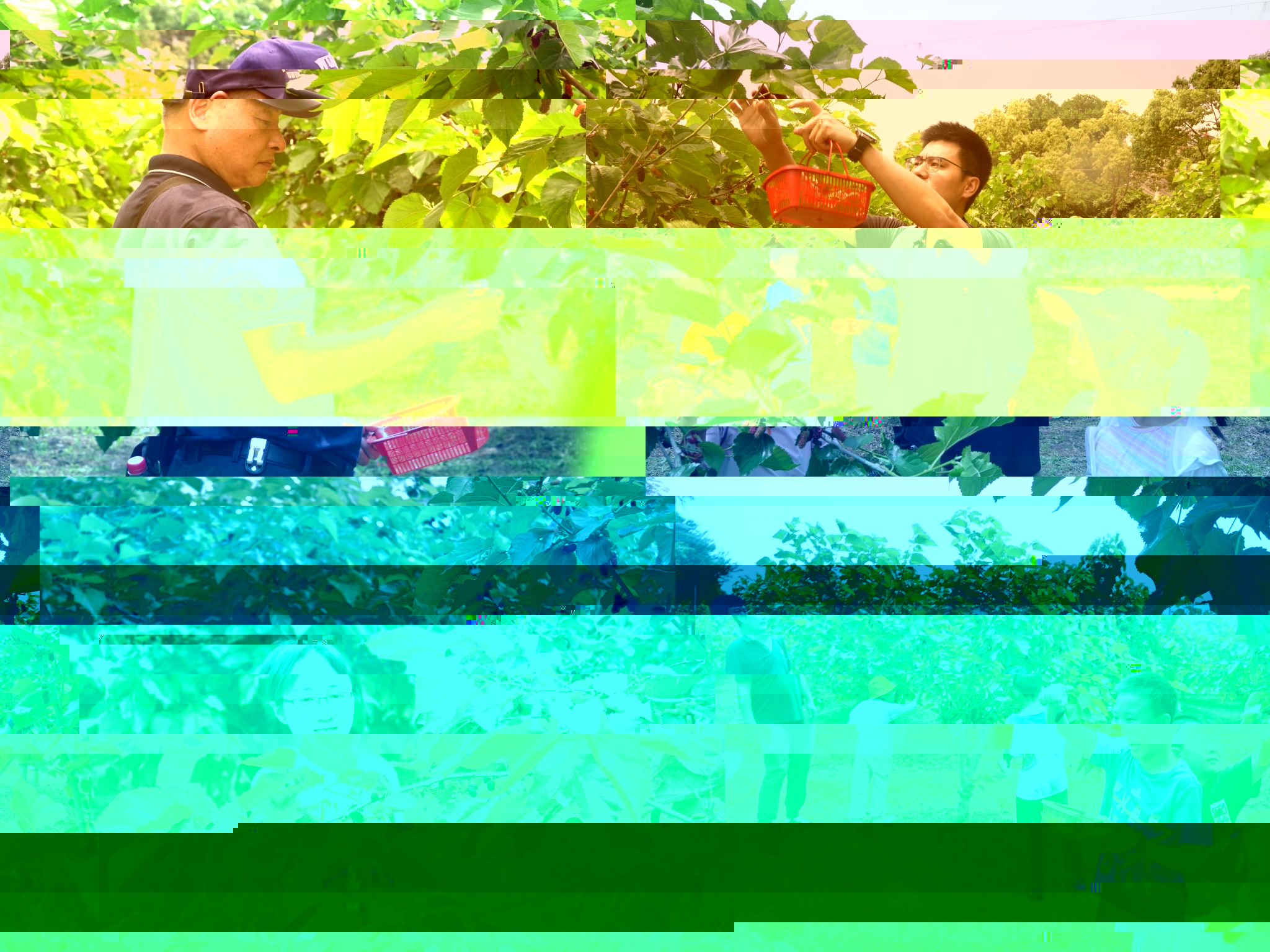 9FA90
