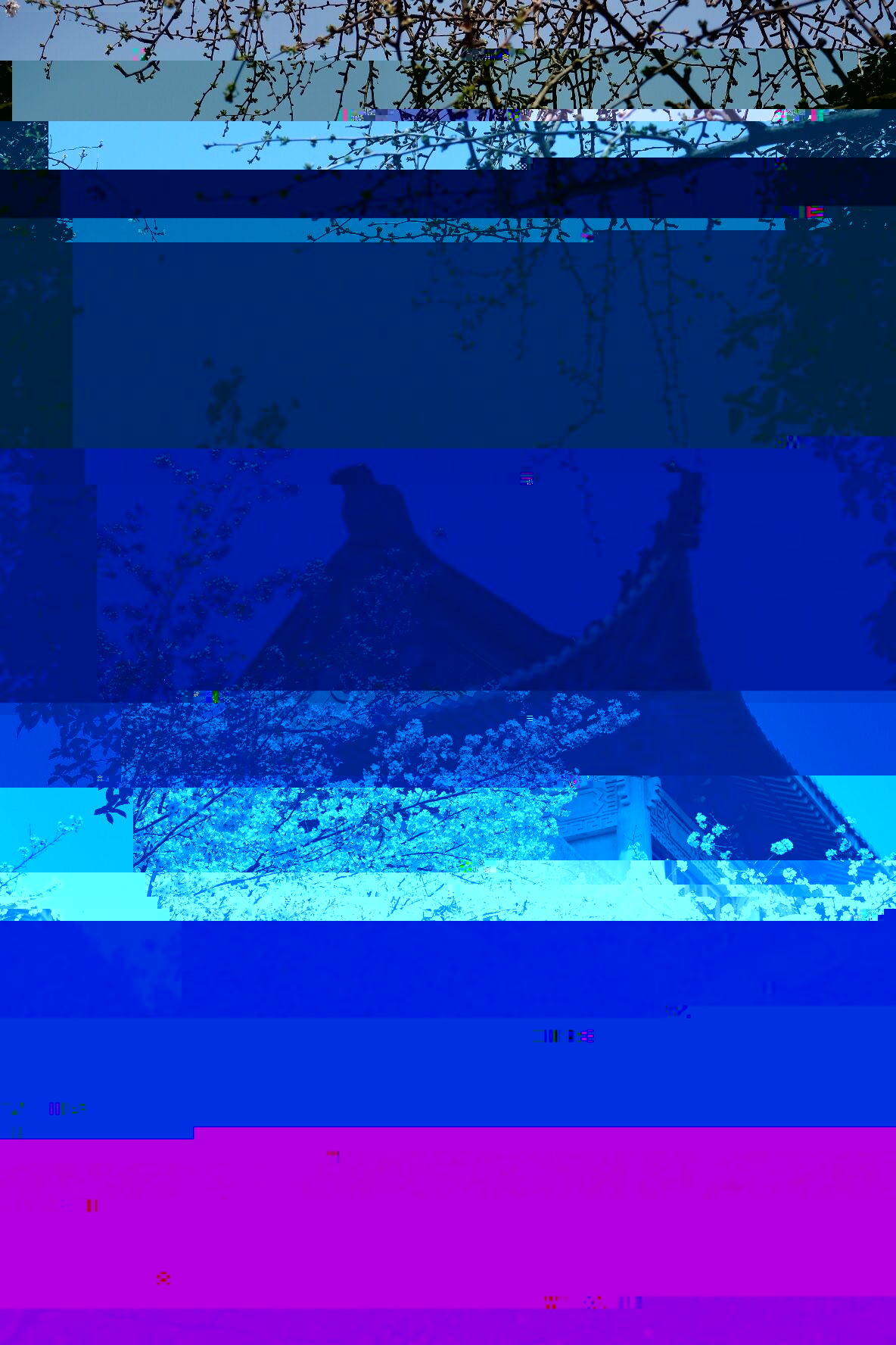 A2421 A2421